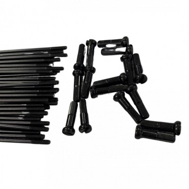 THEBIKEBROS SPOKES 14G PG ED BLACK 2