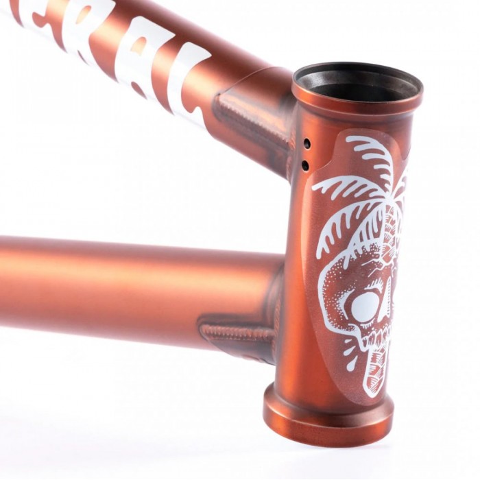 FEDERAL BOYD ICS2 BMX RÁM MATT TRANS BROWN