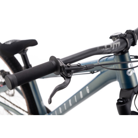 CTM MTB BIKE DIRTKING XPERT MATT GROUND GREY