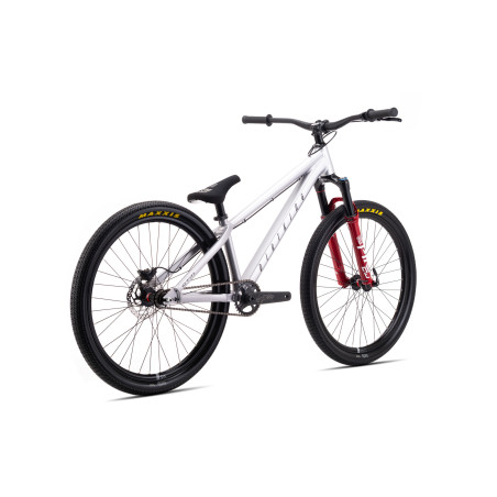 CTM MTB BIKE DIRTKING PRO MATT SILVER