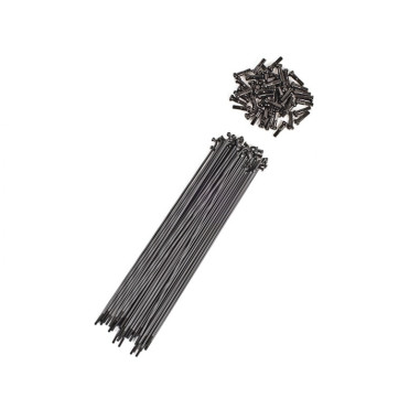 FLYBIKES BMX SPOKES Matte Black 20 pieces