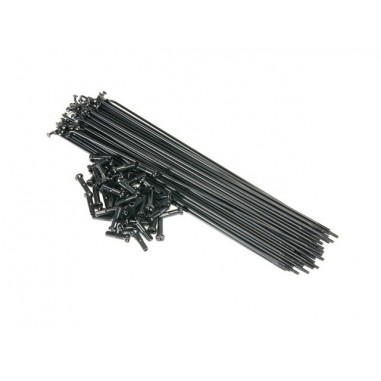 BSD Spokes + Nipples