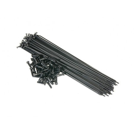 BSD Spokes + Nipples